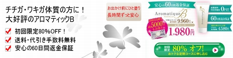 �u�����E�`�`�K�v�΍�N���[���s�A���}�e�B�b�NB�t���T�C�g